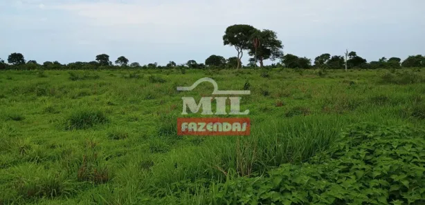 Fazenda / Sítio / Chácara à venda, 500m² no , Formoso do Araguaia