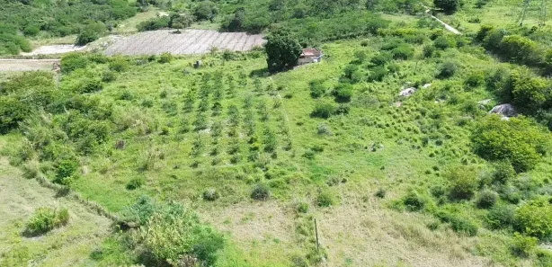 Fazenda / Sítio / Chácara à venda, 30000m² no , Sairé