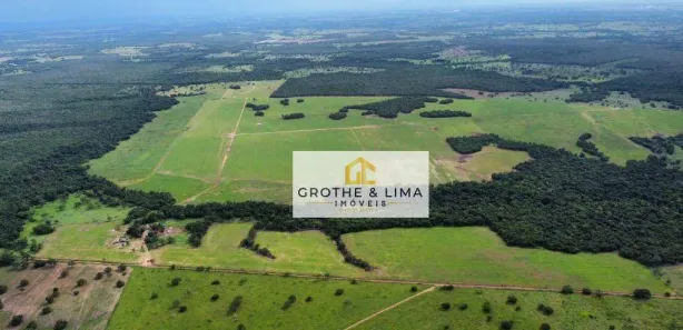 Fazenda / Sítio / Chácara com 10 Quartos à venda, 600m² no Jardim Tropical, Gurupi