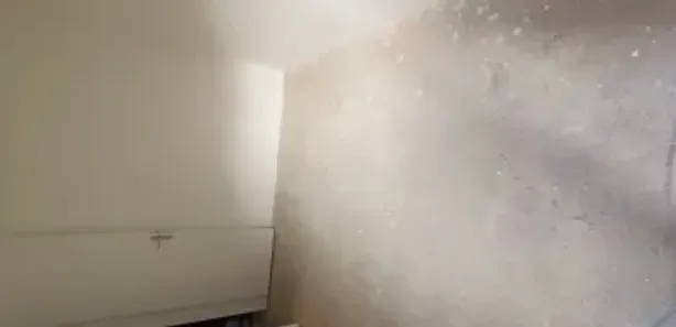 Apartamento com 2 Quartos à venda, 46m² no Bonfim, Almirante Tamandaré