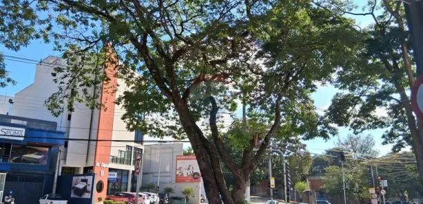 Loja / Salão / Ponto Comercial para alugar, 230m² no Centro, Bragança Paulista
