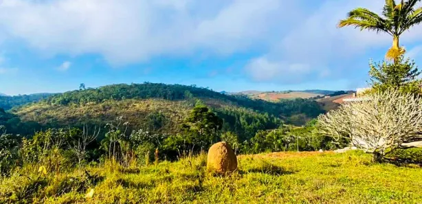 Terreno / Lote / Condomínio com 1 Quarto à venda, 600m² no Centro, Igaratá