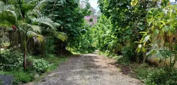 Fazenda / Sítio / Chácara com 4 Quartos à venda, 6460m² no Represa, Ribeirão Pires
