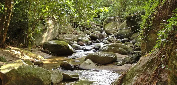 Fazenda / Sítio / Chácara com 4 Quartos à venda, 360000m² no Monumento, Piraí