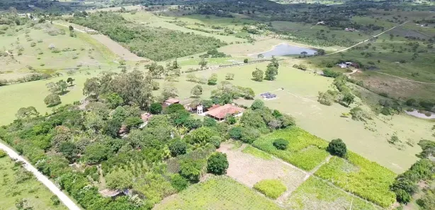 Fazenda / Sítio / Chácara com 3 Quartos à venda, 298000m² no , Sairé