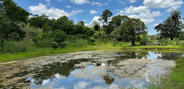 Fazenda / Sítio / Chácara com 4 Quartos à venda, 130000m² no Centro, Florestal