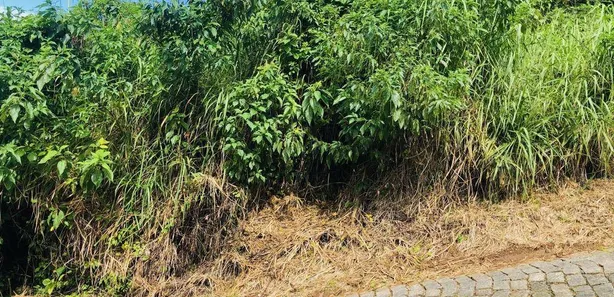 Terreno / Lote / Condomínio à venda, 449m² no Escola Agrícola, Blumenau