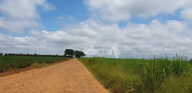 Fazenda / Sítio / Chácara à venda, 363000m² no Recanto dos Pinheiros, Cambé