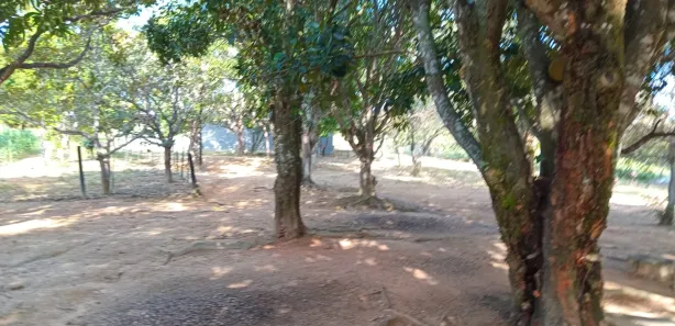 Fazenda / Sítio / Chácara com 4 Quartos à venda, 340000m² no Área Rural de Águas Lindas de Goiás, Águas Lindas de Goiás
