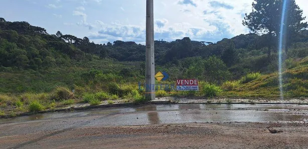 Terreno / Lote / Condomínio à venda, 575m² no Centro, Campina Grande do Sul