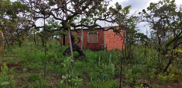 Fazenda / Sítio / Chácara com 1 Quarto à venda, 21000m² no Área Rural do Gama, Brasília