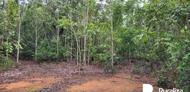 Fazenda / Sítio / Chácara à venda, 1243m² no , Divinópolis do Tocantins