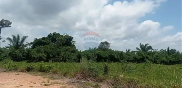 Terreno / Lote / Condomínio à venda, 2341m² no , Piçarra
