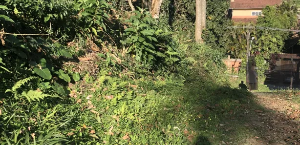 Terreno / Lote / Condomínio à venda, 6698m² no Castelanea, Petrópolis