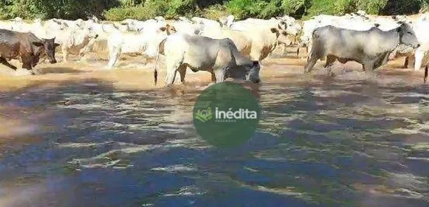 Fazenda / Sítio / Chácara à venda, 10648000m² no , Padre Bernardo