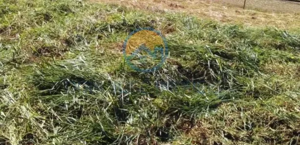 Terreno / Lote / Condomínio à venda, 450m² no Mostardas, Monte Alegre do Sul