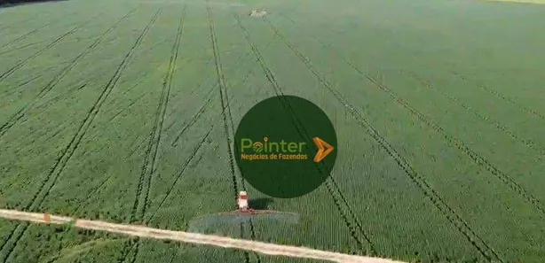 Fazenda / Sítio / Chácara à venda, 7000000m² no Parque Residencial Nova Fronteira, Gurupi