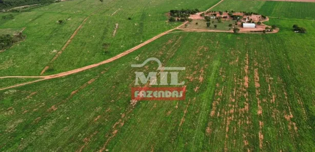 Fazenda / Sítio / Chácara à venda, 500m² no Setor Central, Ponte Alta do Tocantins