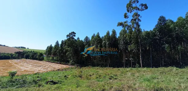 Fazenda / Sítio / Chácara à venda, 1365m² no São Salvador, Cascavel