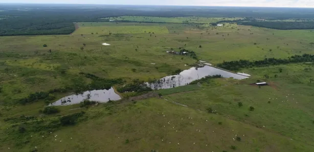 Fazenda / Sítio / Chácara à venda, 1388m² no Setor Central, Lagoa da Confusão