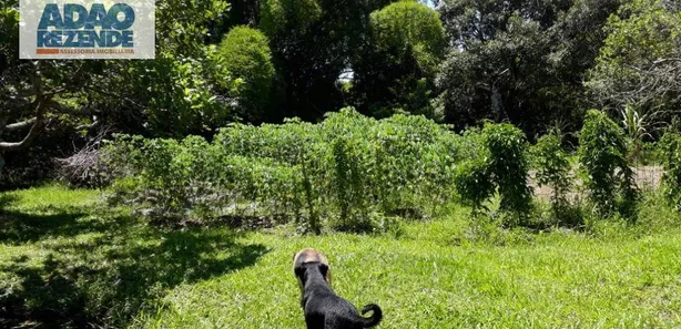 Fazenda / Sítio / Chácara com 6 Quartos à venda, 450m² no Vale das Pedrinhas, Guapimirim