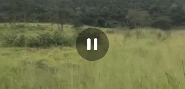 Fazenda / Sítio / Chácara à venda, 155000000m² no Centro, Formosa