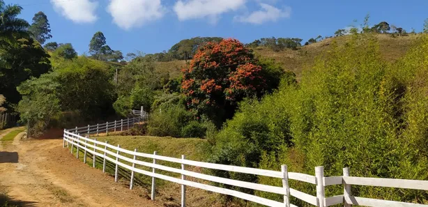 Fazenda / Sítio / Chácara com 1 Quarto à venda, 12500m² no Área Rural de Viçosa, Viçosa