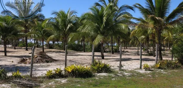 Terreno / Lote / Condomínio à venda, 28648m² no Canavieiras, Canavieiras