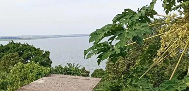 Fazenda / Sítio / Chácara com 2 Quartos à venda, 179m² no , Alvorada do Sul