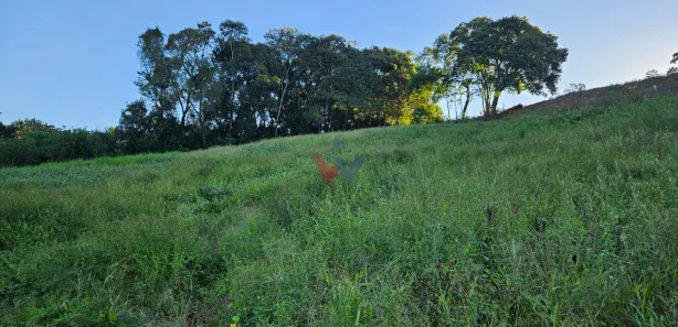 Fazenda / Sítio / Chácara com 1 Quarto à venda, 10975m² no Área Rural de Araucária, Araucária