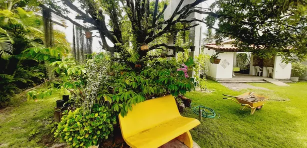 Fazenda / Sítio / Chácara com 4 Quartos à venda, 200m² no Massagueira, Marechal Deodoro