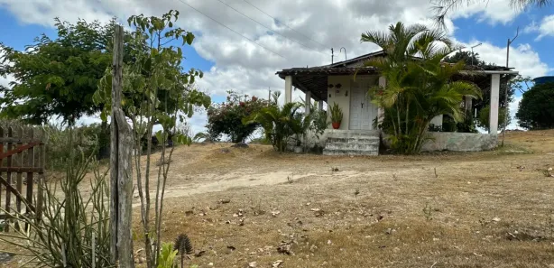 Fazenda / Sítio / Chácara com 2 Quartos à venda, 20000m² no , Sairé