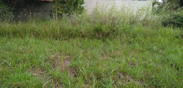 Terreno / Lote / Condomínio à venda, 450m² no Montese, Resende