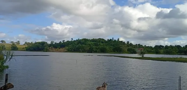 Fazenda / Sítio / Chácara com 3 Quartos à venda, 2900m² no , Mata de São João
