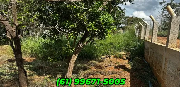 Casa de Condomínio com 4 Quartos à venda, 1000m² no Centro, Alexânia