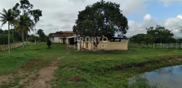 Fazenda / Sítio / Chácara com 4 Quartos à venda, 60000m² no Matriz, Vitória de Santo Antão