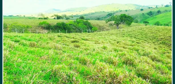 Fazenda / Sítio / Chácara com 3 Quartos à venda, 500000m² no Centro, Nossa Senhora das Dores