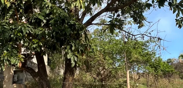 Terreno / Lote / Condomínio à venda, 670m² no , São José da Lapa