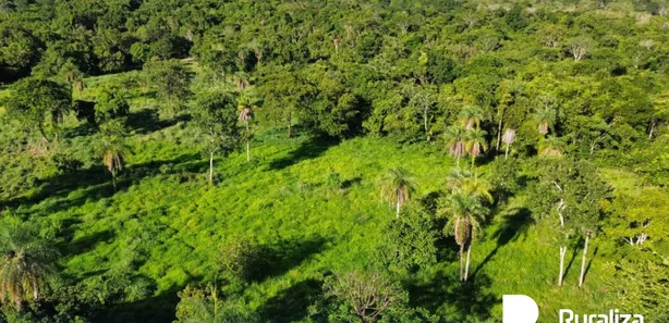 Fazenda / Sítio / Chácara à venda, 58m² no , Paraíso do Tocantins