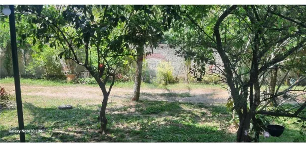 Fazenda / Sítio / Chácara com 3 Quartos à venda, 270m² no Pindobal (Ponta Negra), Maricá