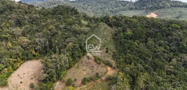 Fazenda / Sítio / Chácara com 1 Quarto à venda, 92651m² no , Massaranduba