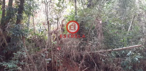Terreno / Lote / Condomínio à venda, 1510m² no Recreio Eldorado do Vale, Santa Branca