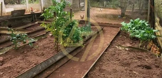 Fazenda / Sítio / Chácara com 4 Quartos à venda, 300m² no Aterradinho, Alambari