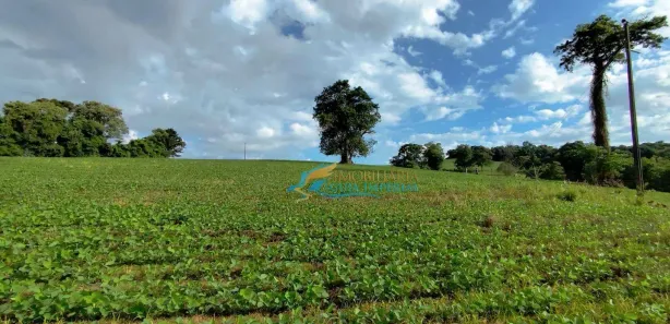 Fazenda / Sítio / Chácara à venda, 219000m² no , Catanduvas