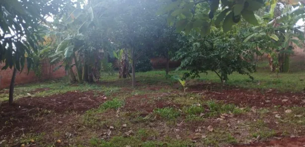 Casa com 3 Quartos à venda, 1700m² no Setor Habitacional Jardim Botânico, Brasília