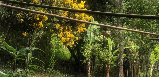 Fazenda / Sítio / Chácara com 1 Quarto para alugar, 1600m² no Area Rural de Paraibuna, Paraibuna