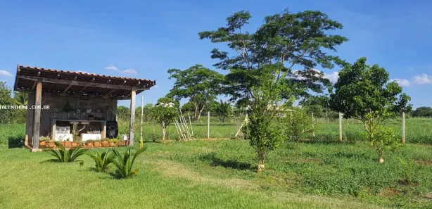Terreno / Lote Comercial à venda, 2032m² no , Sertanópolis