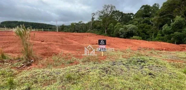 Terreno / Lote / Condomínio à venda, 502m² no , Campina Grande do Sul