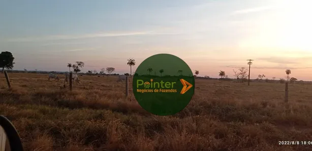 Fazenda / Sítio / Chácara à venda, 48593600m² no , Formoso do Araguaia