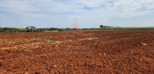 Fazenda / Sítio / Chácara com 1 Quarto à venda, 1452000m² no Jardim Quitandinha, Araraquara